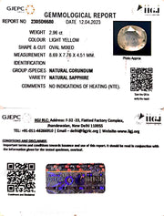 2.96/CT Natural Ceylonese Pukhraj with Govt Lab Certificate-YELSA9T